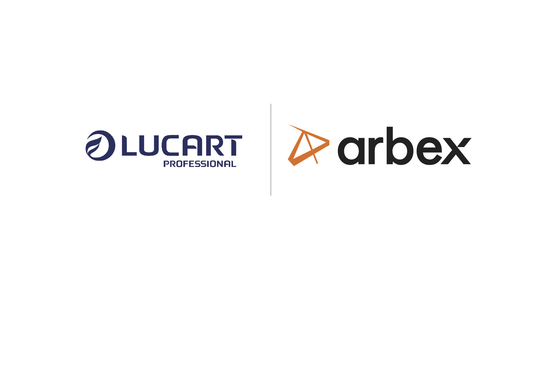 Partners</br>estratégicos, 